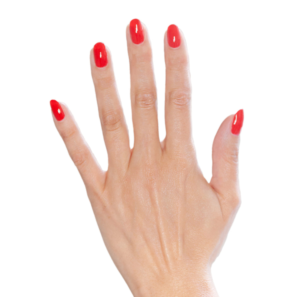 Sarita Red and Multibase Set